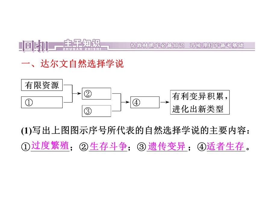 现代生物进化理论PPT.ppt_第3页