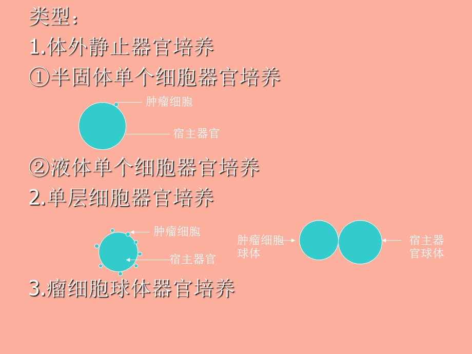 肿瘤细胞的侵袭和转移.ppt_第2页