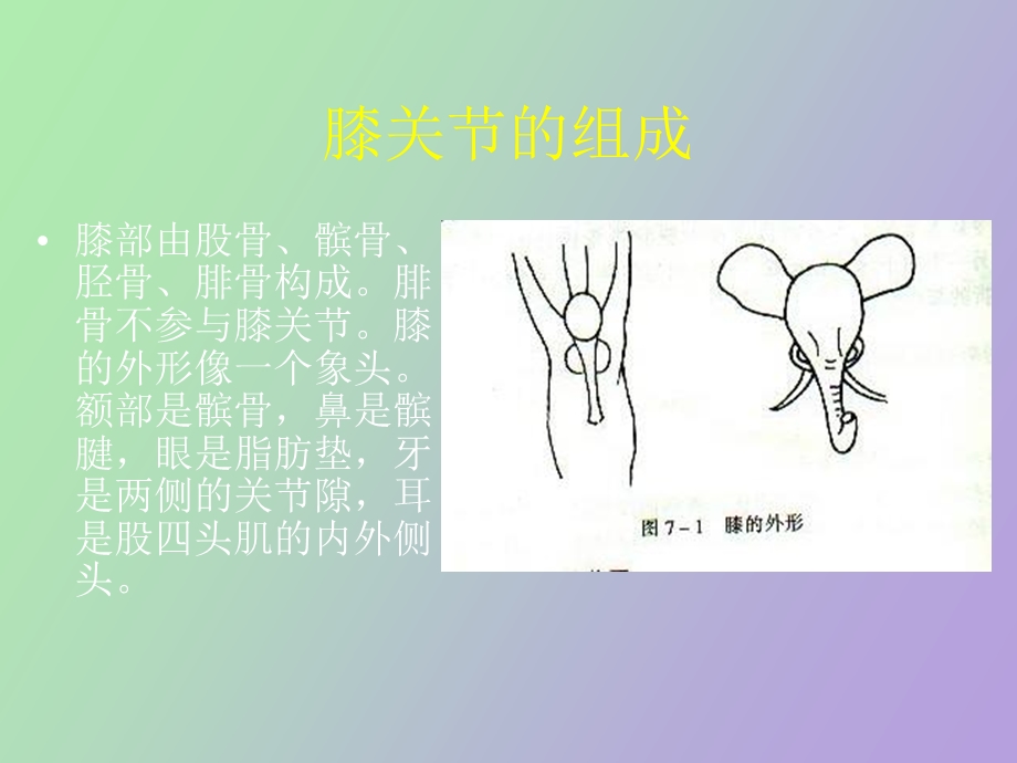 膝关节检查法.ppt_第2页