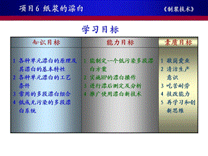 项目6纸浆的漂白制浆技术.ppt