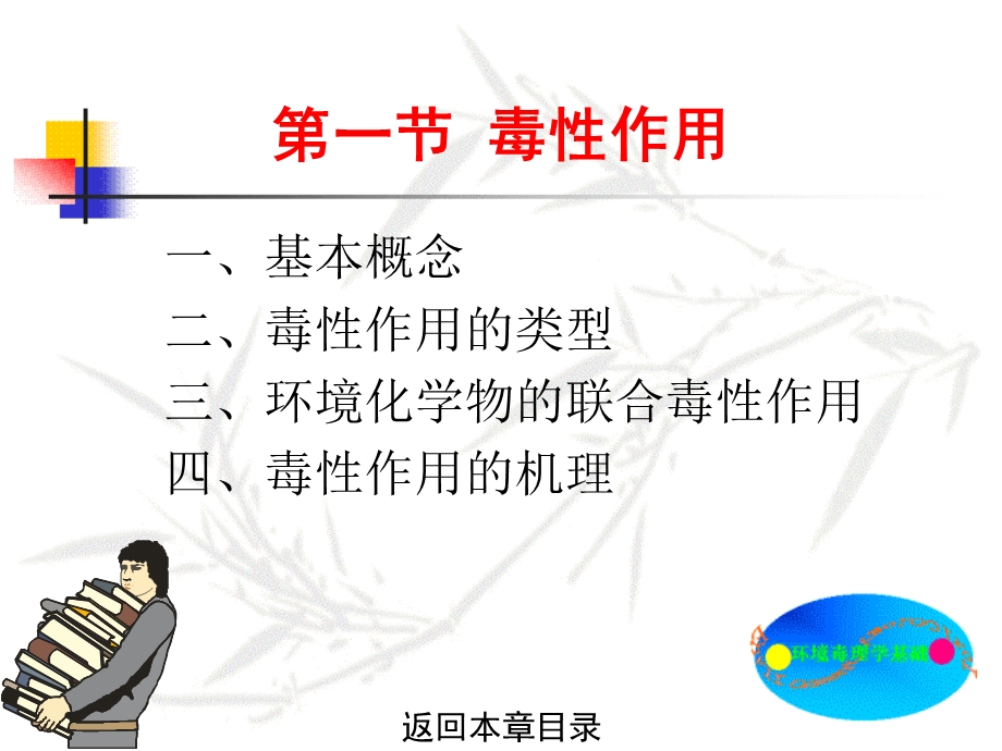 环境化学物的毒性作用及其影响因素.ppt_第3页