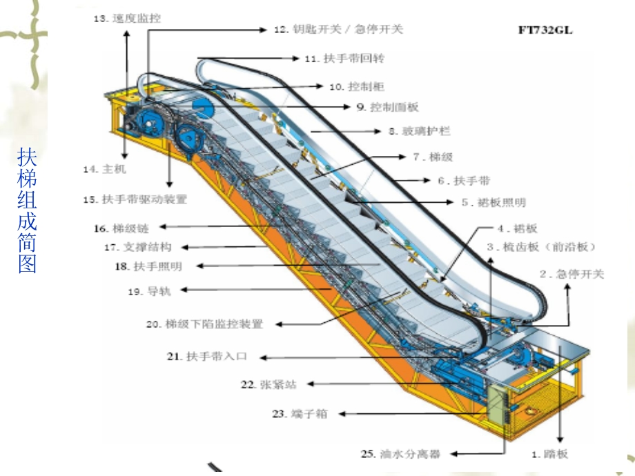 自动扶梯及自动人行道结构及原理.ppt_第3页