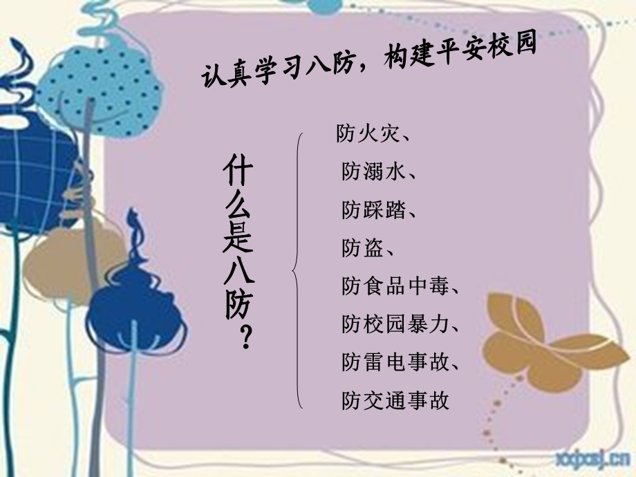 生命安全教育ppt.ppt_第3页