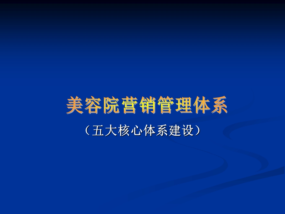 美容院营销管理系统.ppt_第1页