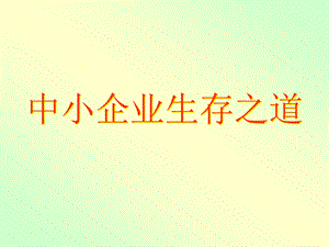 中小企业生存之道.ppt