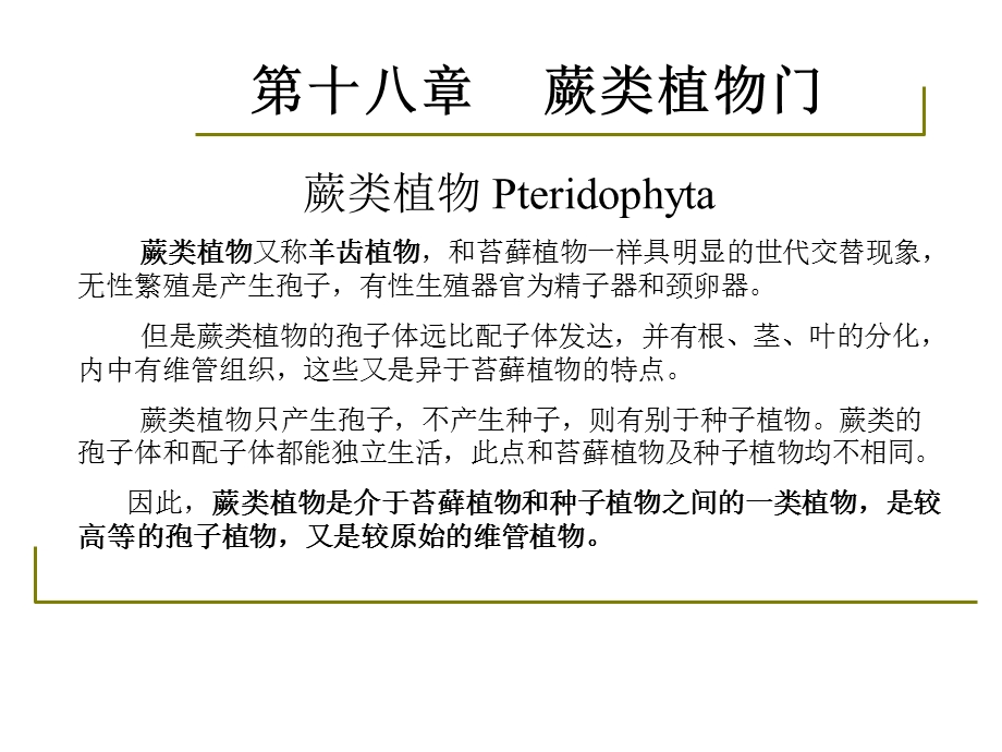 药用植物学-淅江大学18蕨类.ppt_第2页