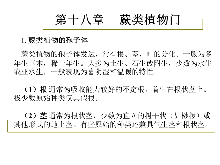 药用植物学-淅江大学18蕨类.ppt_第3页