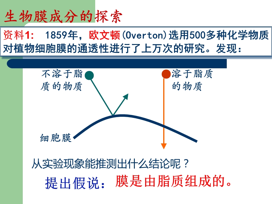 生物膜的流动镶嵌模型课件.ppt_第3页