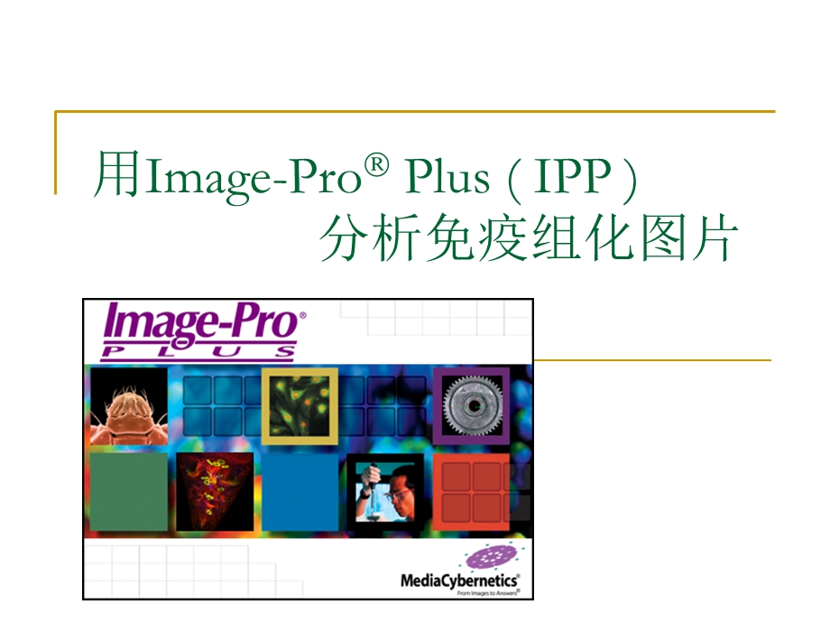 用ImagePro-Plus-分析免疫组化图片.ppt_第1页