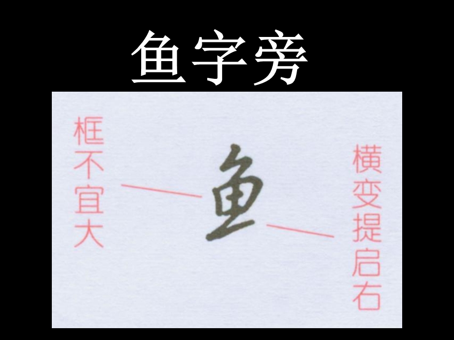 硬笔书法教学鱼字旁隹字旁.ppt_第2页