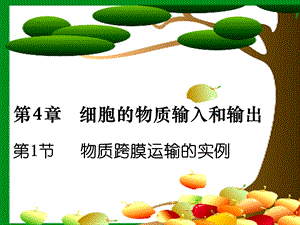 物质跨膜运输的实例(公开课).ppt