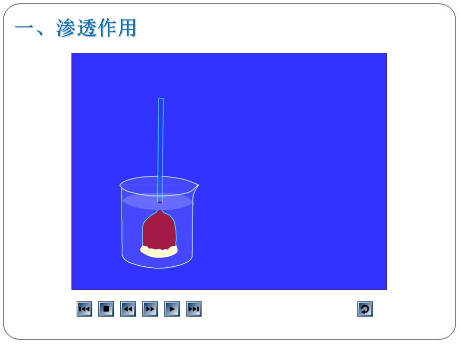 物质跨膜运输的实例完整版.ppt_第3页