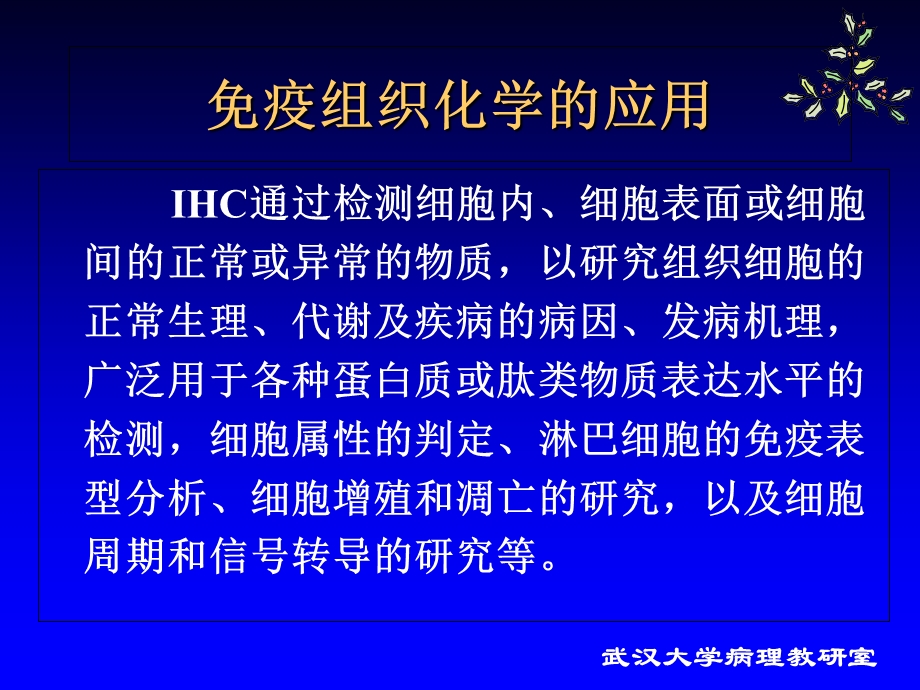 疫组织化学染色sp技术.ppt_第2页