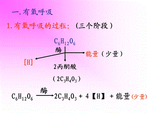 高一生物《细胞呼吸》PPT课件.ppt