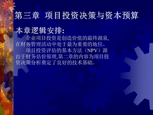 项目投资决策与资本预算.ppt