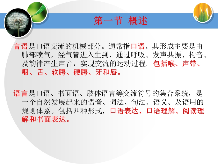 言语功能评定技术.ppt_第3页