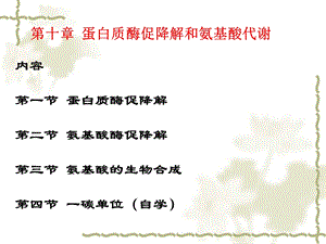 蛋白质酶促降解和氨基酸代谢.ppt