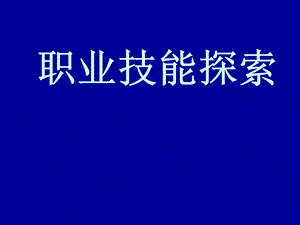 个人职业技能探索.ppt