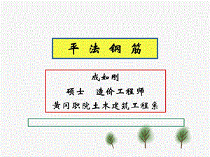 造价员继续教育平法讲座.ppt