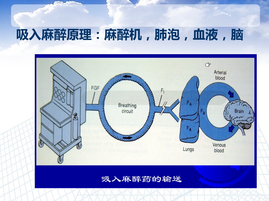 麻醉机基本原理和结构ppt课件.ppt_第2页