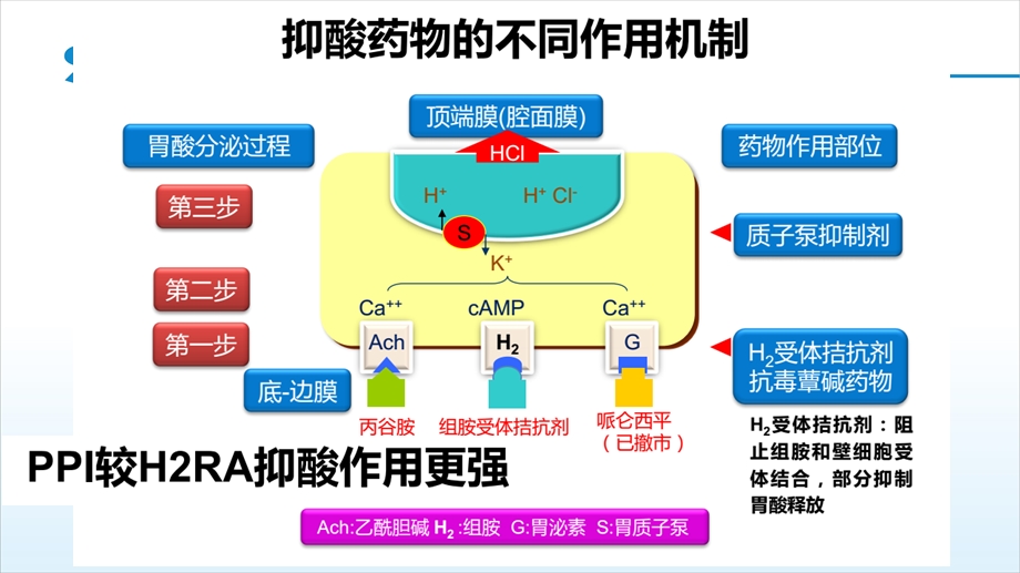 质子泵抑制剂合理使用建议.ppt_第3页