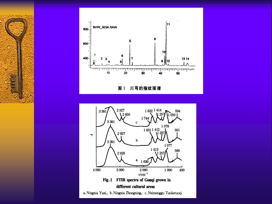 中药指纹图谱的原理与应用.ppt_第3页