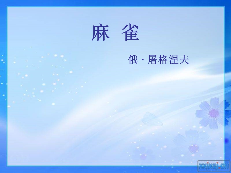 语文课文《麻雀》ppt.ppt_第1页