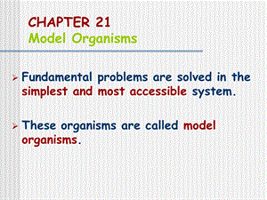 《分子生物学》2-cha.ppt