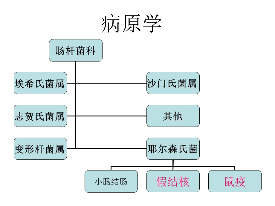 鼠疫趣味课件-鼠疫历史.ppt_第2页