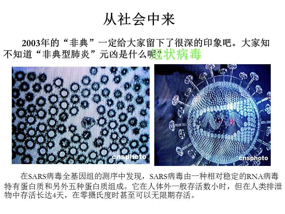 《生物技术药物与疫苗》.ppt_第2页