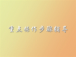 重点操作步骤辅导.ppt