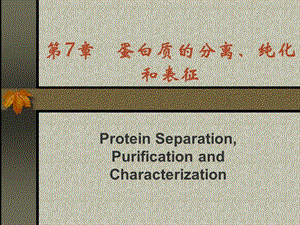 蛋白质的分离、纯化和表征.ppt