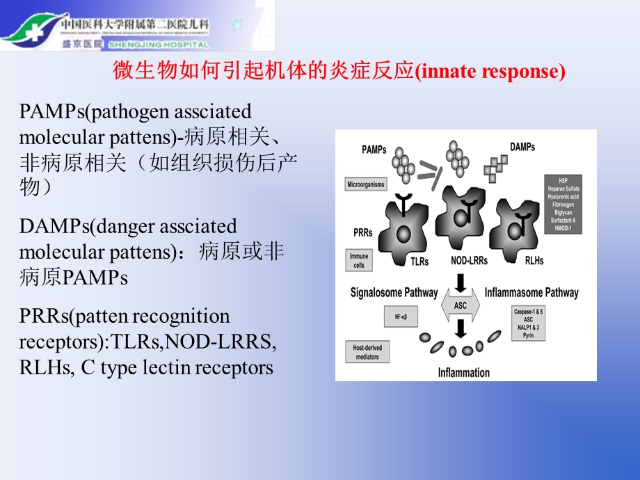 脓毒症休克的血流动力学及治疗策略刘峰ppt课件.ppt_第3页