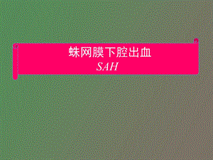 蛛网膜下腔出血讲.ppt