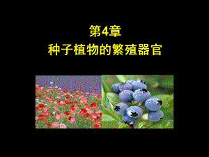 《植物学教学资料》第四章第一、二节花.ppt