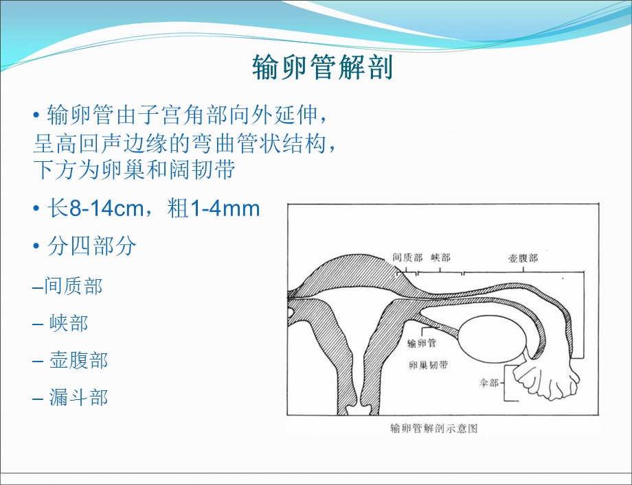 输卵管炎性疾病的超声诊断.ppt_第2页