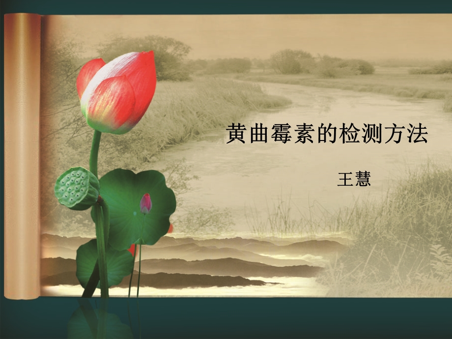 黄曲霉毒素的检查方法.ppt_第1页