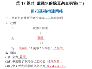遗传的基本定律第17课时孟德尔的豌豆杂交实验.ppt