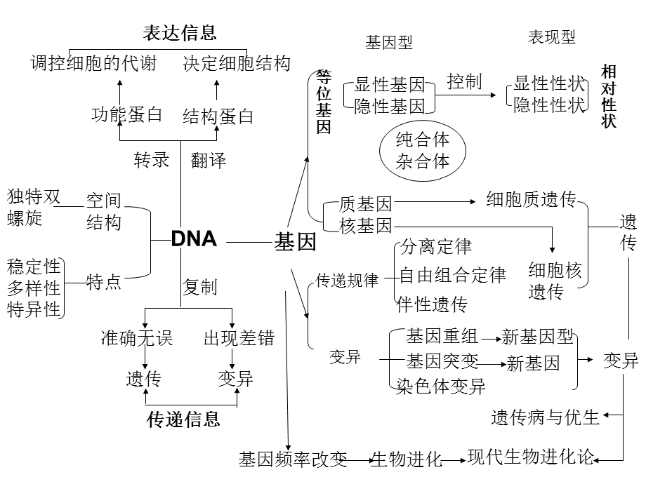 遗传的物质基础-DNA.ppt_第2页