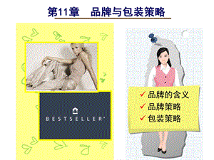 第11章 品牌与包装策略.ppt