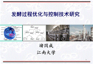 酵过程优化与控制.ppt