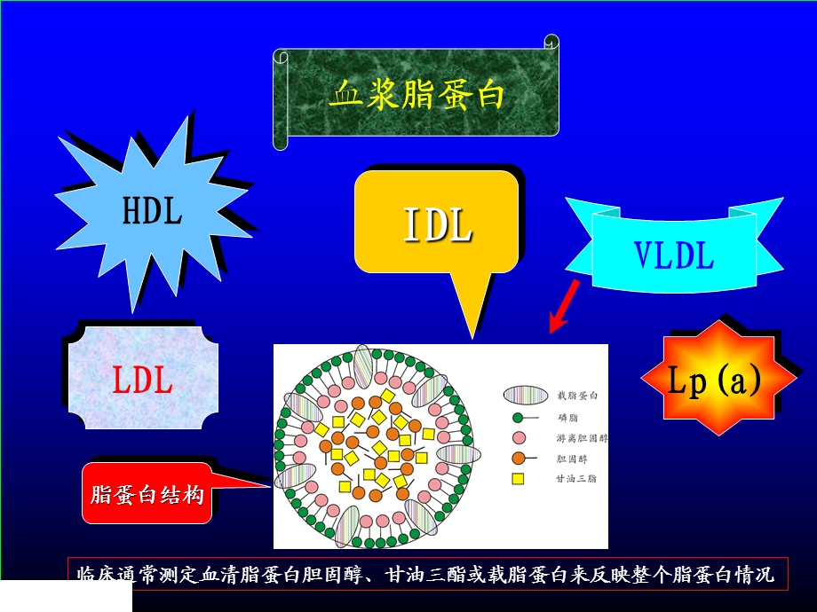 血浆脂质谱与as心脑血管病相关临床应用的新思考.ppt_第2页