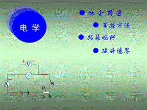 中考物理电学综合复习.ppt