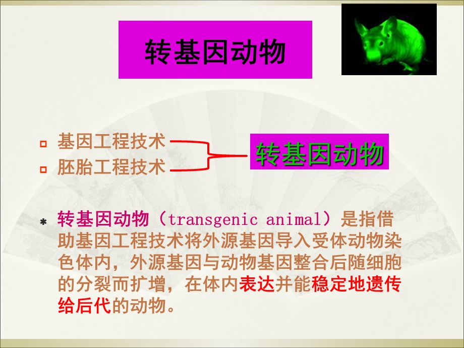 转基因动物与生物反应器-HXY.ppt_第2页