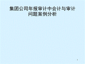 集团公司年报审计中会计与审计问题案例分析.ppt