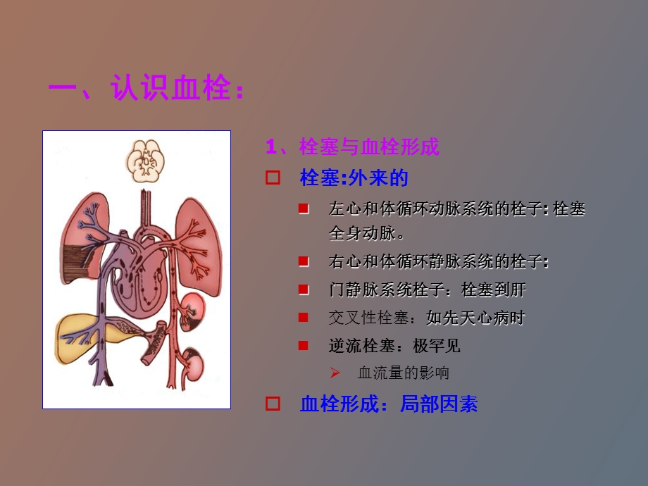 血栓栓塞性疾病的急诊溶栓治疗.ppt_第2页