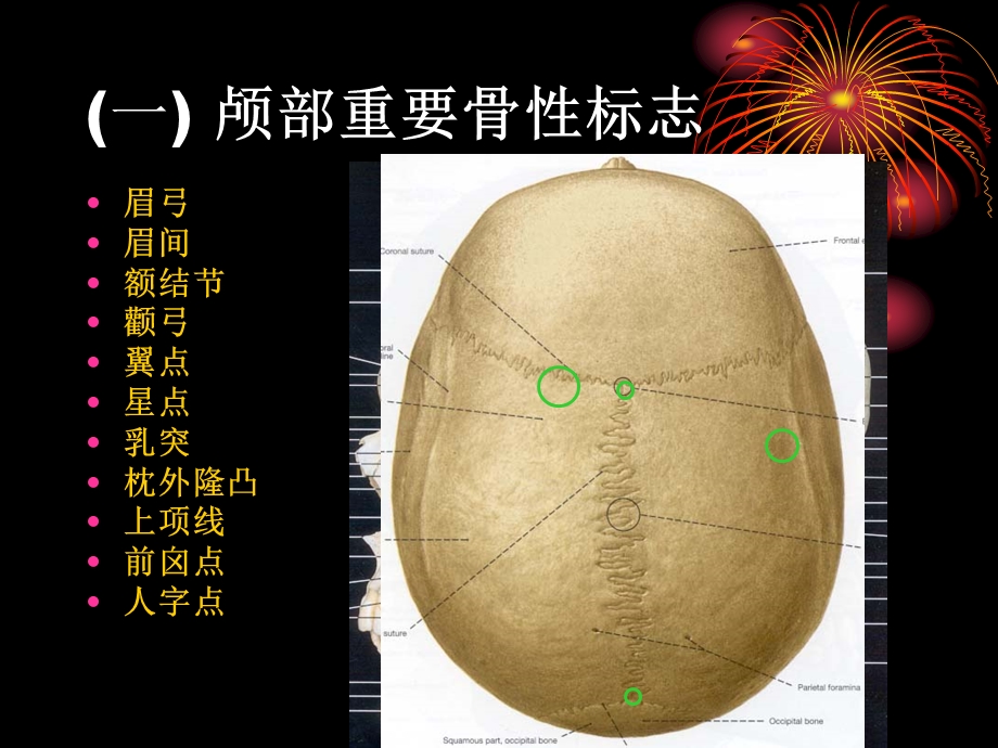 颅脑应用解剖学幻灯.PPT_第2页