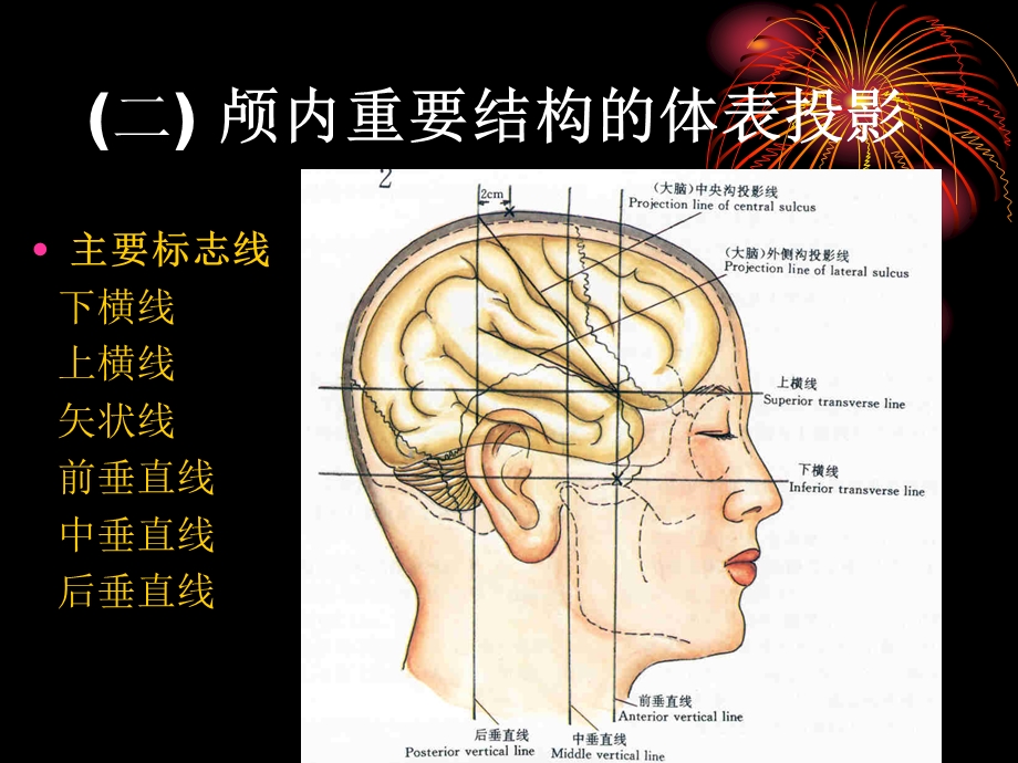 颅脑应用解剖学幻灯.PPT_第3页