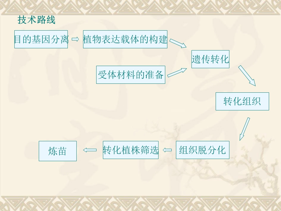 转基因植物技术的鉴定.ppt_第3页