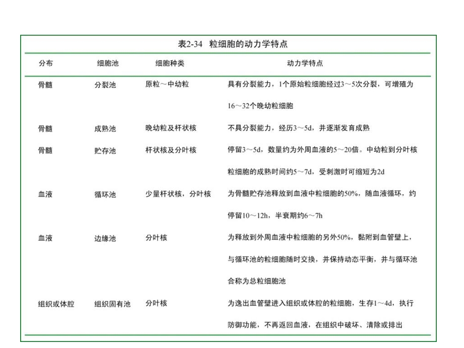 血液一般检验03白细胞部分上.ppt_第3页